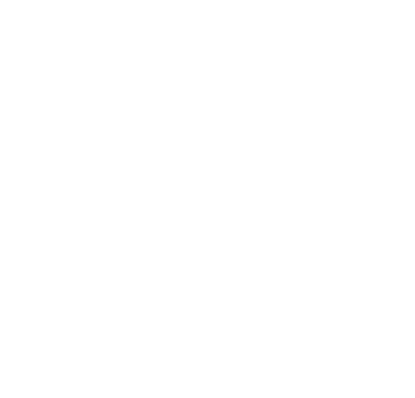 Louisiana Kebab White Logo